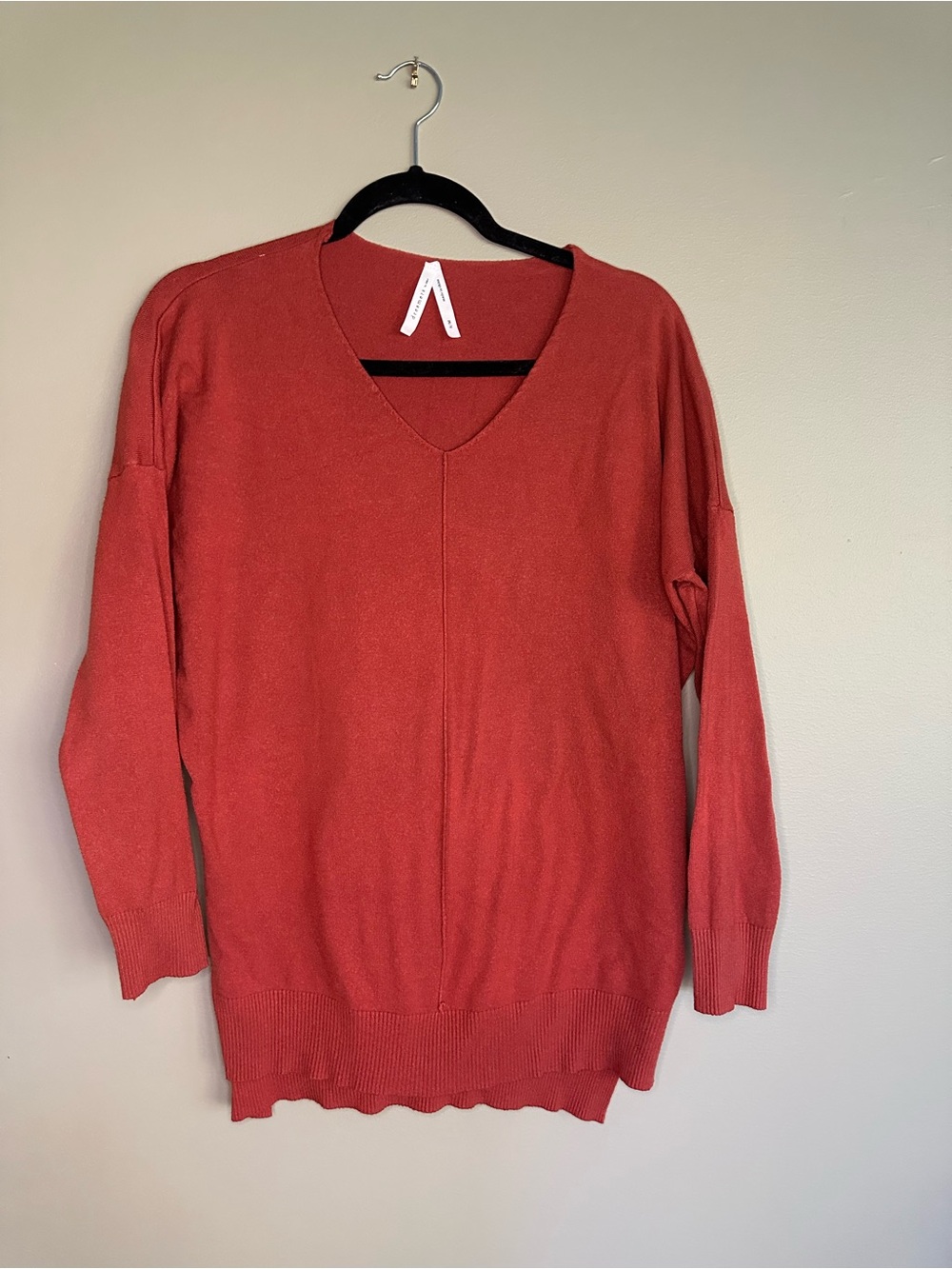 Dreamers V-Neck Sweater in Burnt Orange